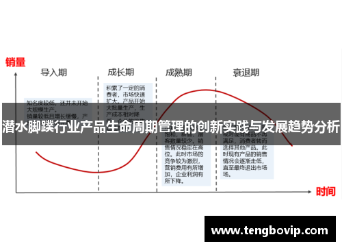 潜水脚蹼行业产品生命周期管理的创新实践与发展趋势分析