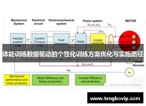 体能训练数据驱动的个性化训练方案优化与实施路径