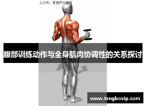 腹部训练动作与全身肌肉协调性的关系探讨